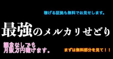 メルカリせどり(無料部分だけでも月数万円稼げます/市場変化に応じて随時更新、メールにて質問もあり)実際に稼げる決定的証拠もお見せします。
