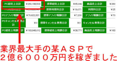 【ニーロク】２億６０００万円をネットで稼いだ方法を完全公開～イケハヤさん、マナブさんとも違うBrain(ブレイン)もNote(ノート)も使わない副業副収入